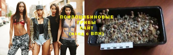 spice Майский