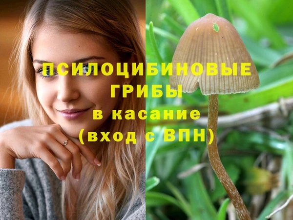 бошки Медногорск