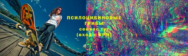 молекула духа Медвежьегорск