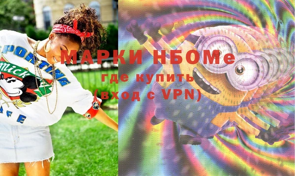 молекула духа Медвежьегорск