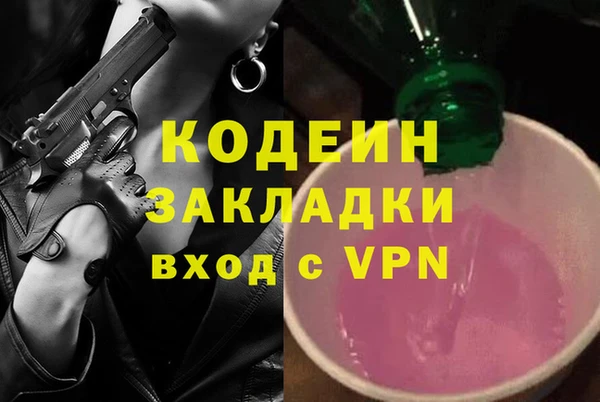 молекула духа Медвежьегорск
