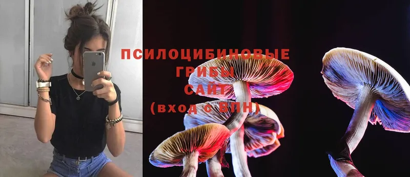 Псилоцибиновые грибы Psilocybine cubensis  Ишимбай 