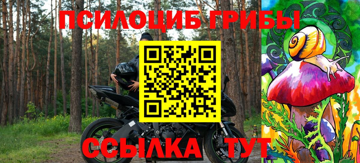 Ишимбай  Псилоцибиновые грибы Magic Shrooms  Вход с VPN 